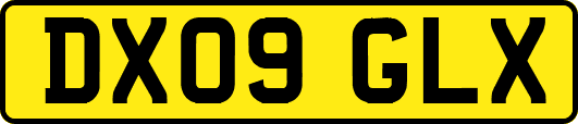 DX09GLX