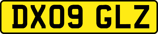 DX09GLZ