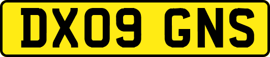 DX09GNS