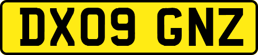 DX09GNZ