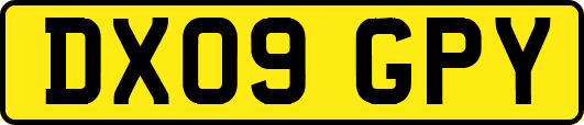 DX09GPY