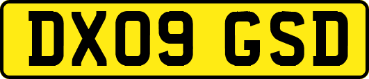 DX09GSD