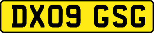 DX09GSG