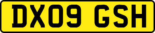 DX09GSH