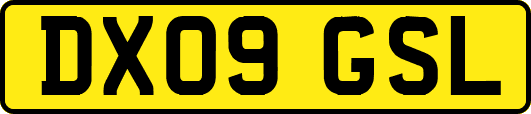 DX09GSL