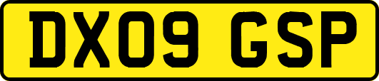 DX09GSP