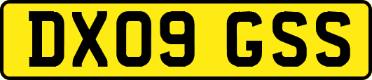 DX09GSS
