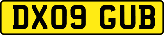 DX09GUB