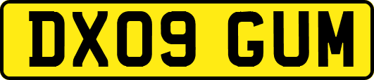 DX09GUM