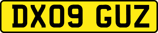 DX09GUZ