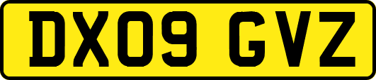 DX09GVZ