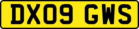 DX09GWS