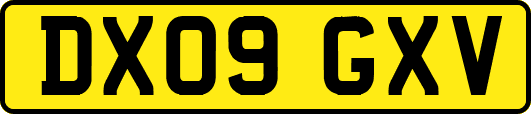 DX09GXV