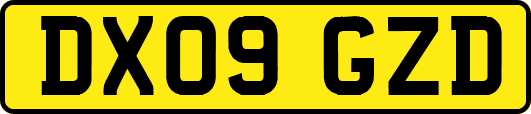 DX09GZD