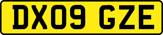 DX09GZE