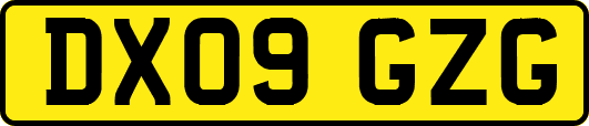 DX09GZG