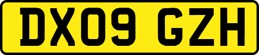 DX09GZH