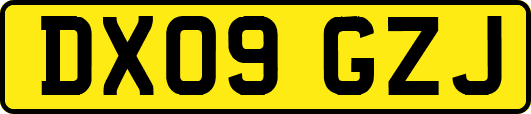 DX09GZJ