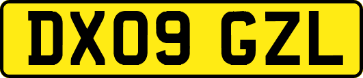 DX09GZL