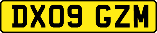 DX09GZM