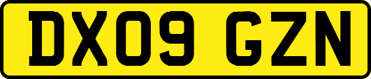 DX09GZN