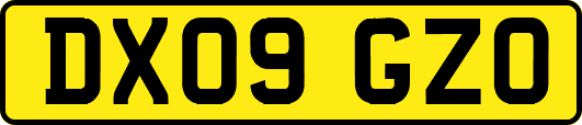 DX09GZO