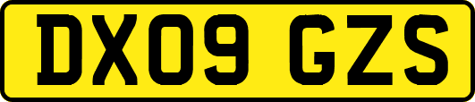 DX09GZS