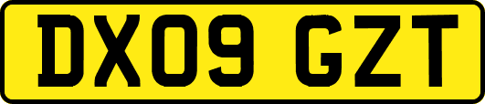 DX09GZT