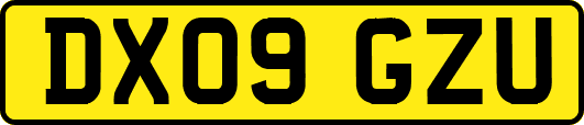 DX09GZU