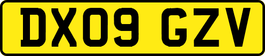 DX09GZV