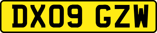 DX09GZW