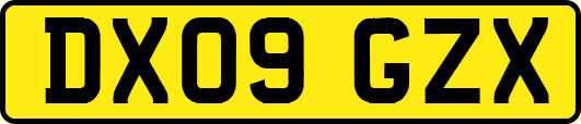 DX09GZX