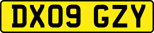 DX09GZY