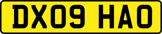 DX09HAO