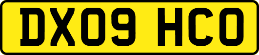 DX09HCO