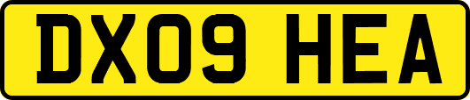 DX09HEA