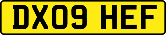 DX09HEF