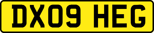 DX09HEG