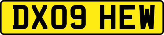 DX09HEW