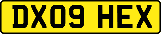 DX09HEX