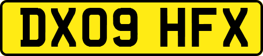 DX09HFX