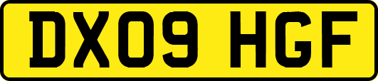 DX09HGF