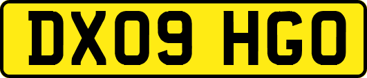 DX09HGO