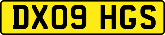 DX09HGS
