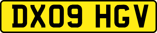 DX09HGV