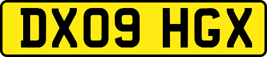 DX09HGX
