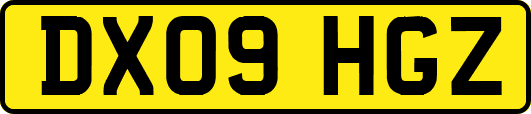 DX09HGZ