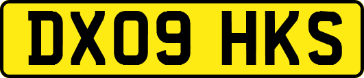 DX09HKS