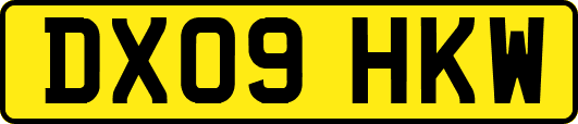 DX09HKW
