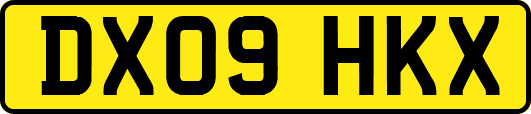 DX09HKX